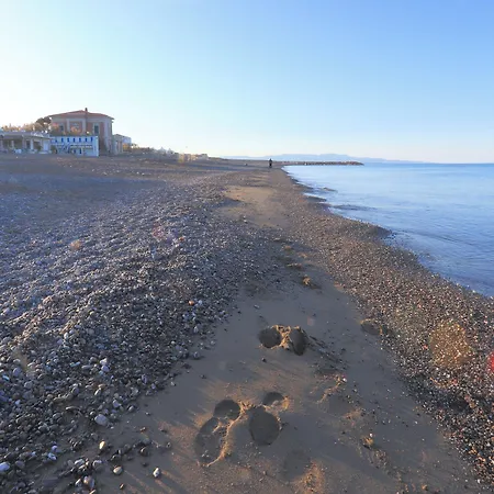 Bed & Parking Cecina Pensionat